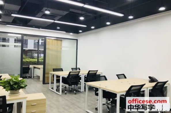可不可以办公室里干湿你预告：最新进展揭示了职场环境对员工心理健康的深远影响与应对策略