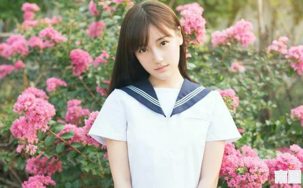缅北对待漂亮女孩前四后八：当地风俗与社会现象的深度分析及其影响探讨