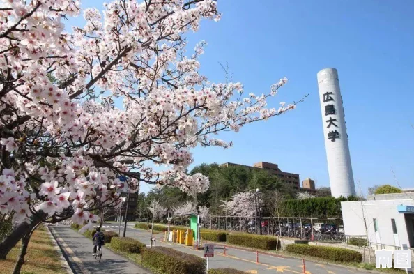 日本大学9月sgu2024：网友热议新学期入学政策，期待多元化教育与国际交流机会的提升