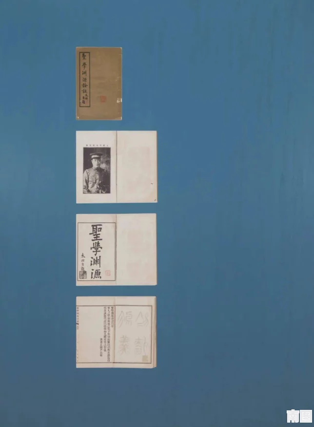 y1uan大家族：探讨其历史渊源、文化传承与现代发展对社会的影响及未来趋势分析