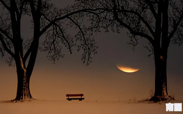 一个人看的中文高清视频：孤独夜晚，让这些精彩画面陪你度过寂寞时光