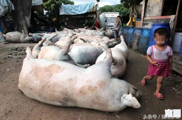 生物老师上课亲自给我们展示自己，网友纷纷表示这样的教学方式让课堂更加生动有趣，增强了学习的积极性和参与感